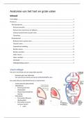 Anatomie samenvatting van de Hart en Vaten Orgaansystemen BMW UU