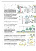 Samenvatting Molecular Biology of the Cell deel 2 - Moleculair biology of the cell (BMW33416)