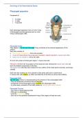 Embriology of the Gastrointestinal System