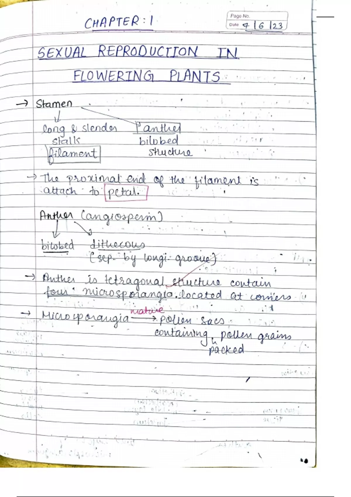 Biology Sexual Reproduction In Flowering Plants - Stuvia US
