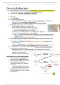 Samenvatting Fysiologie en Pathofysiologie 2 deel 2