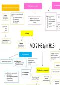 Management & Organisatie 2 (mindmap)