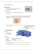 Cell membrane structure + Phospholipids