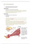 Muculoskeletal system basic & digestive system