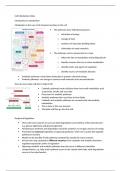 Notes for all lectures of cell metabolism and metabolic control