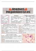 Anemias megaloblasticas 