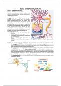 College research MED-BMS24 Medical Neuroscience: basics & anatomy (MED-BMS24) 