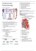Cardiovascular Pathophysiology