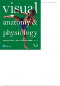 Visual Anatomy & Physiology 3rd Ed By  Martini - Test Bank