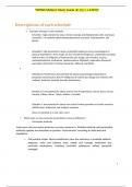 NR565 Midterm Study Guide (2) (3)-1. LATEST