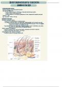 Medical Terminology&colon; Chapter 4 Notes&colon; The Integumentary System