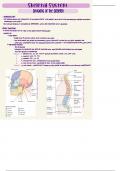 Medical Terminology: Chapter 5 Notes: The Skeletal System
