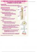 Medical Terminology: Chapter 7 Notes: The Nervous System & Mental Health