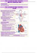 Medical Terminology: Chapter 10 Notes: The Cardiovascular & Lymphatic Systems