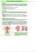 Medical Terminology: Chapters 11-16
