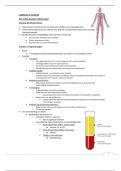 Anatomie: Het cardiovasculaire stelsel