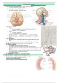 Samenvatting Anatomie en Fysiologie: Hersenen en Zenuwstelsel