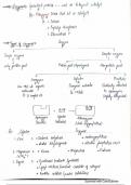 Enzymes - Biochemistry notes