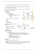 Apuntes de anatomía 2: aparato locomotor