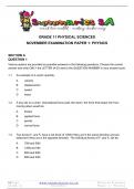 Grade 11 Physical Science (PS) (Physics) November Paper 1 and Memo - 2023