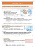 THK RUG cyclus 2.1.2 - Fysiologie (0662) KC's: Electofysiologie en ECG + hartritme + excitatie