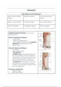UCF Human Anatomy Block 3 Study Guide