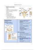 UCF Human Anatomy Block 2 Study Guide