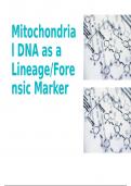 Mitochondrial DNA history and use in forensics and lineages