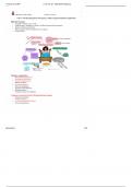 3&period; CH 19&comma; 20 - High Risk Pregnancy