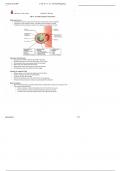 1&period; CH 10&comma; 11&comma; 12 &ndash; Normal Pregnancy
