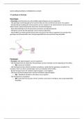 Mavo 3 - biologie - hoofdstuk 3 erfelijkheid en evolutie - samenvatting  - biologie voor jou