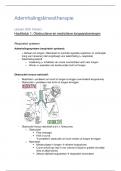 Cardiorespiratoire Kinesitherapie 1 - Ademhalingskinesitherapie (Theorie + praktijk)