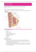 Breast Disease Lecture Notes