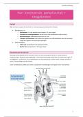 THK RUG cyclus 1.1.4 - Fysiologie (0656): KC's Cardiale problemen