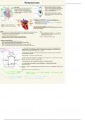 Uitgewerkte vragen H1 -  Fysiologie van het orgaanstelsel