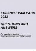 International Finance&lpar;ECS3703 Exam pack 2023&rpar;