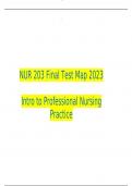 NUR 203 Final Test Map 2023  Intro to Professional Nursing Practice 