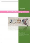 Basisportfolio Kunstzinnige oriëntatie