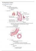 Introductory Mammalian Physiology (PHOL0002) Notes - Respiratory System