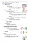 Essential Molecular Biology (BIOC0007) Notes - Protein Trafficking and Translocation