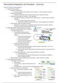 Essential Molecular Biology (BIOC0007) Notes - Transcriptional Regulation and Translation