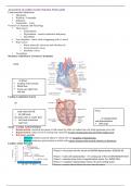 Assessment of cardiovascular function 