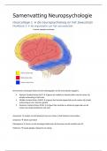 Uitgebreide samenvatting neuropsychologie