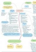 Samenvatting -  Wijsgerige pedagogiek - mindmap Aristoteles