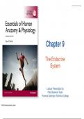 Lecture Notes of The Endoctrine System I Essentials of Human Anatomy and Physiology Eleventh Edition I Global Edition I Elaine N. Marieb