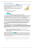 CHEM 120 Week 7 Concepts; Biochemistry
