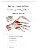 Summary: Bones, Cartilage, Tendons, Ligaments, Joints, and skeletal Muscles