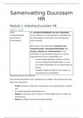 Samenvatting Duurzaam HRM