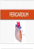 Human anatomy thorax pericardium
