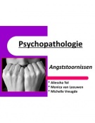 Presentatie Posttraumatische stressstoornis (PTSS)